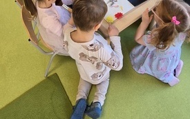 liski 6