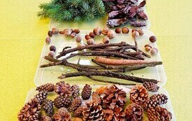 IMG_20261013_104816